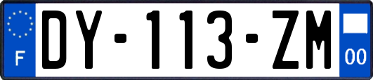 DY-113-ZM