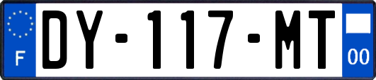 DY-117-MT