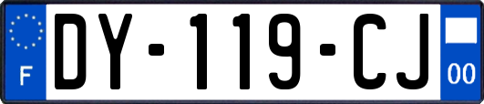 DY-119-CJ