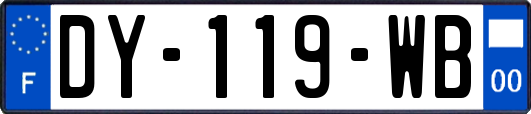 DY-119-WB