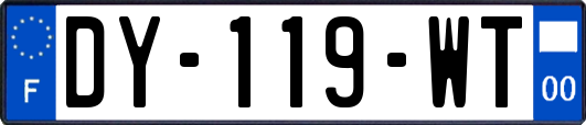 DY-119-WT