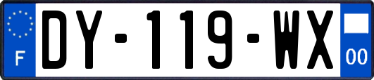 DY-119-WX