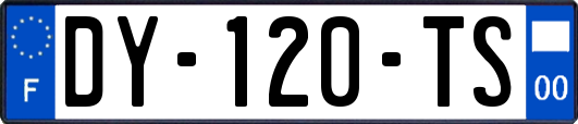 DY-120-TS