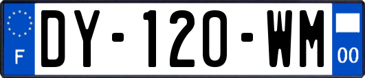 DY-120-WM