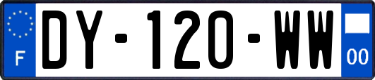 DY-120-WW