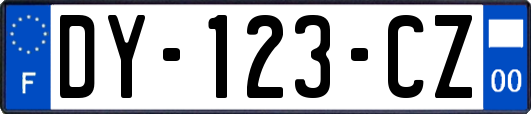 DY-123-CZ