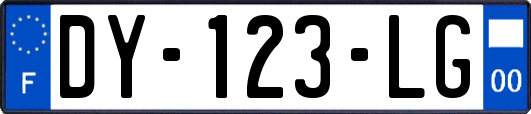 DY-123-LG