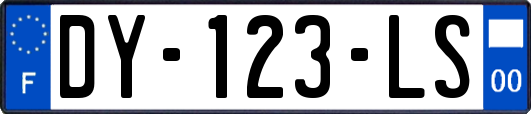 DY-123-LS