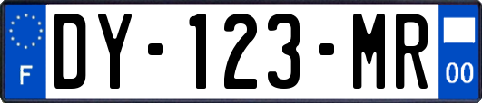 DY-123-MR
