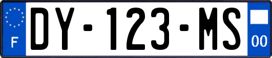 DY-123-MS