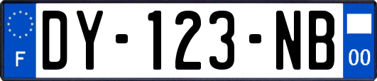 DY-123-NB