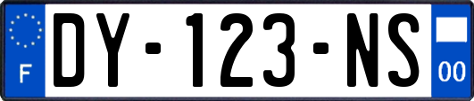 DY-123-NS