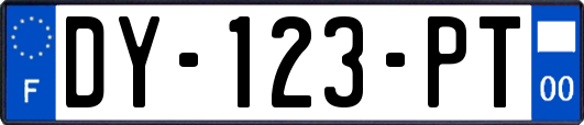 DY-123-PT