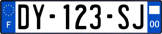 DY-123-SJ