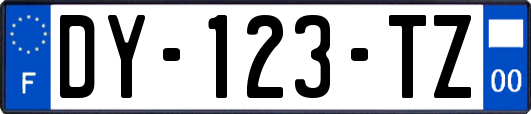 DY-123-TZ