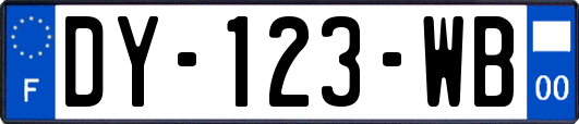 DY-123-WB