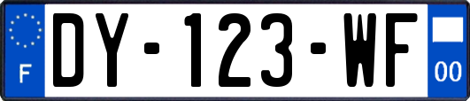 DY-123-WF