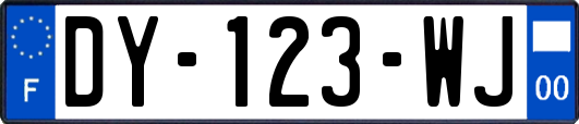 DY-123-WJ