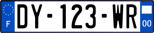 DY-123-WR