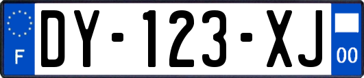 DY-123-XJ