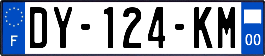DY-124-KM