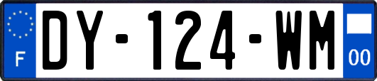 DY-124-WM