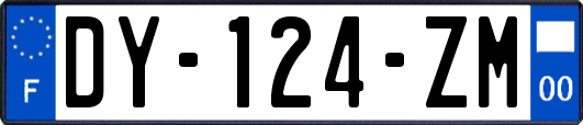 DY-124-ZM