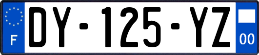 DY-125-YZ