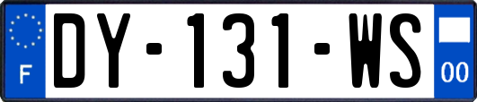 DY-131-WS