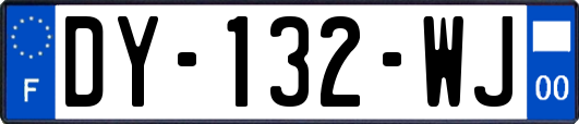 DY-132-WJ