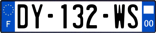 DY-132-WS