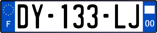 DY-133-LJ