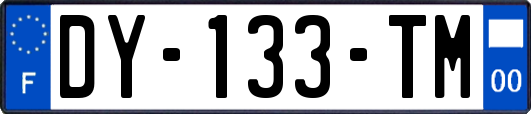 DY-133-TM