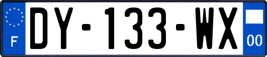 DY-133-WX