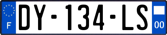 DY-134-LS