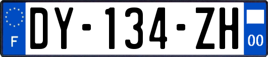 DY-134-ZH