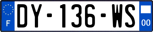 DY-136-WS