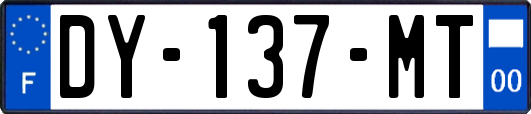 DY-137-MT