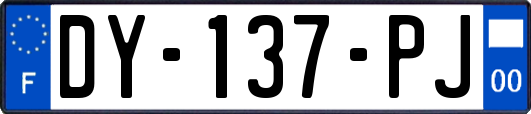 DY-137-PJ
