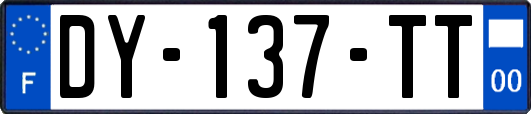 DY-137-TT