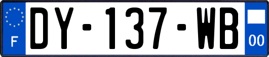 DY-137-WB