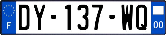 DY-137-WQ