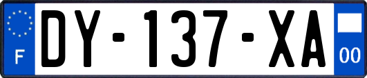 DY-137-XA