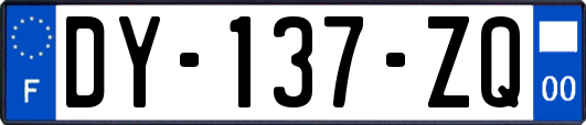 DY-137-ZQ