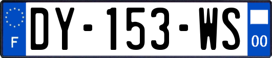 DY-153-WS