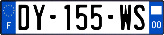 DY-155-WS