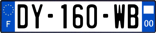 DY-160-WB