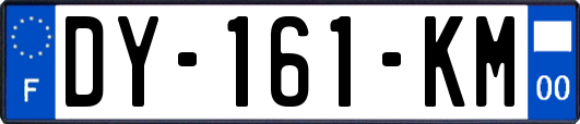 DY-161-KM