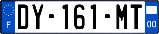 DY-161-MT