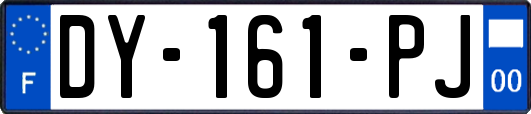 DY-161-PJ